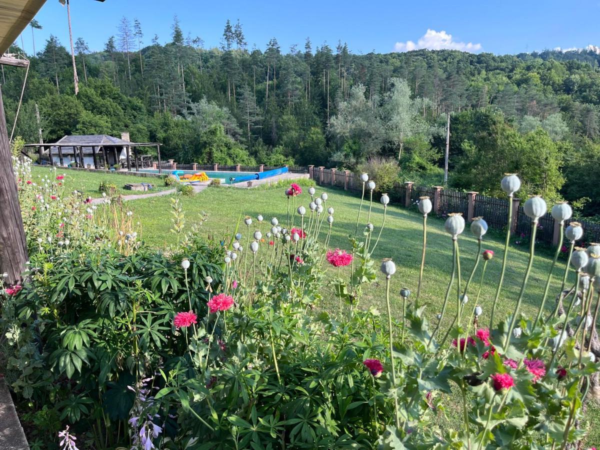 Agriturismo Hidden Paradise Triavna Exterior foto