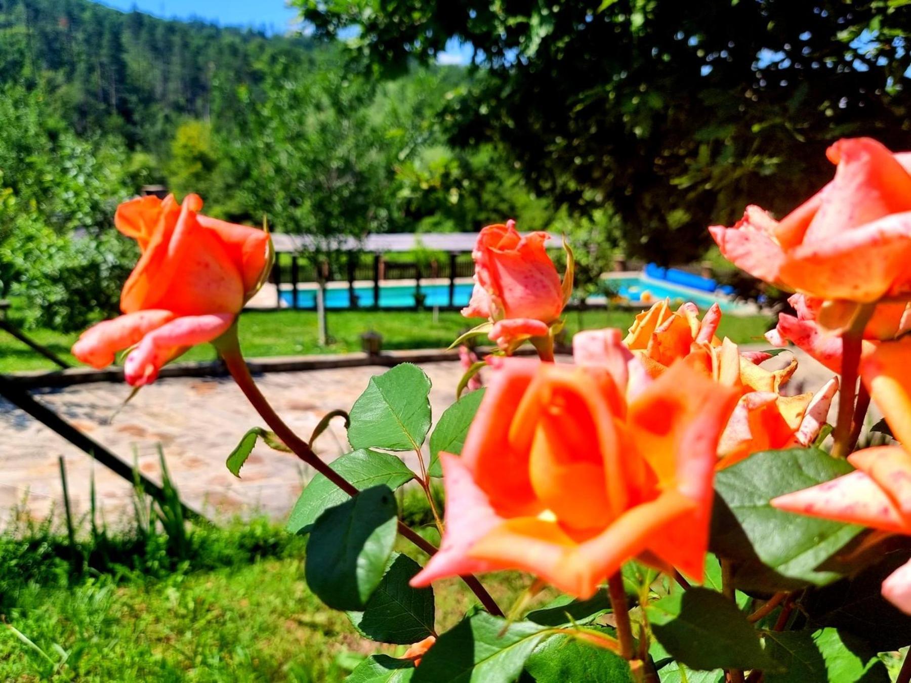 Agriturismo Hidden Paradise Triavna Exterior foto