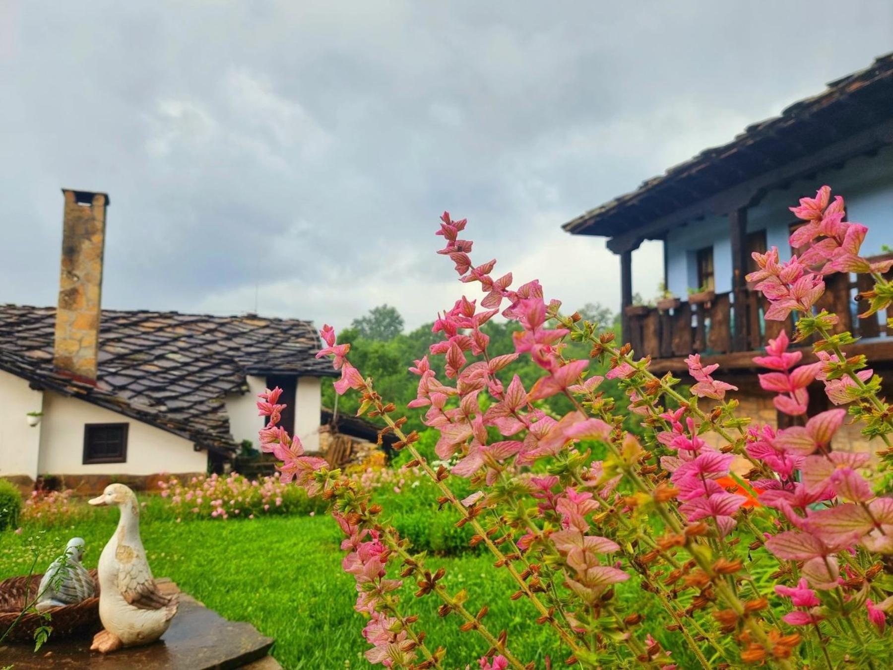 Agriturismo Hidden Paradise Triavna Exterior foto