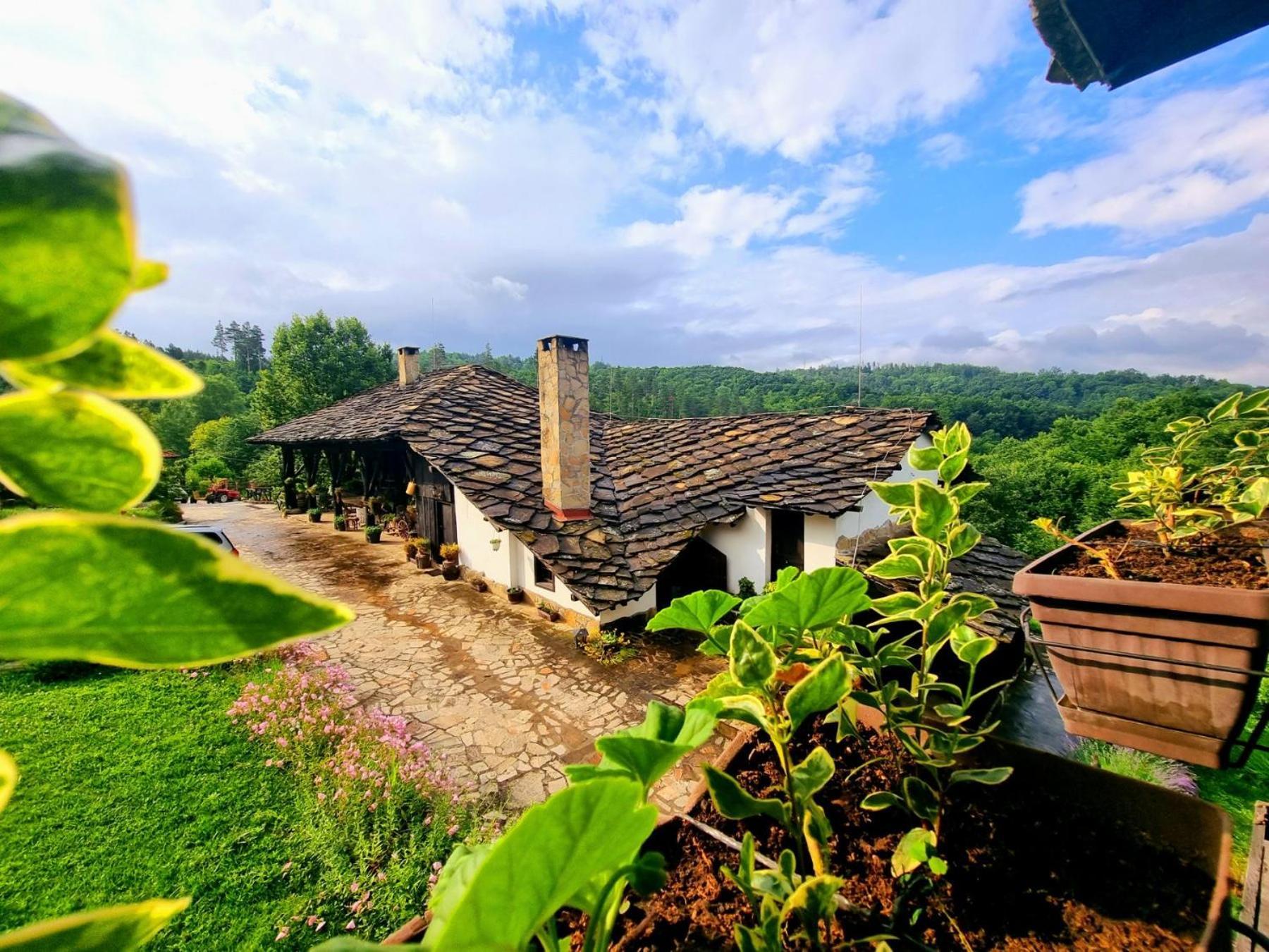 Agriturismo Hidden Paradise Triavna Exterior foto