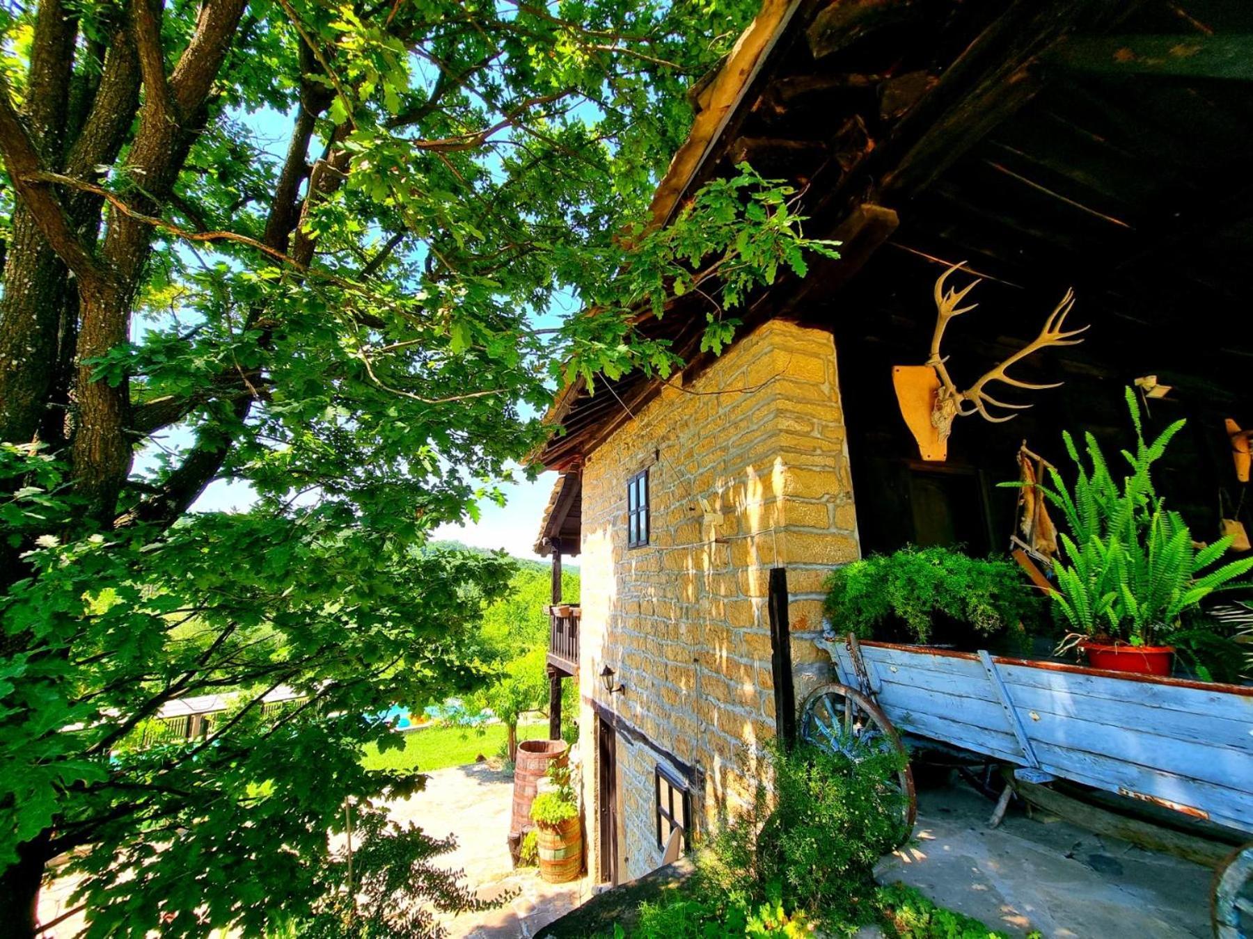 Agriturismo Hidden Paradise Triavna Exterior foto