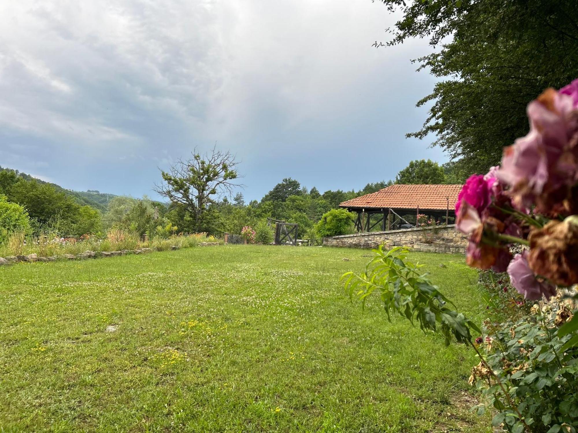Agriturismo Hidden Paradise Triavna Exterior foto
